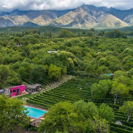 Araoz De Lamadrid Hotel&Bodega 圣哈维尔 外观 照片