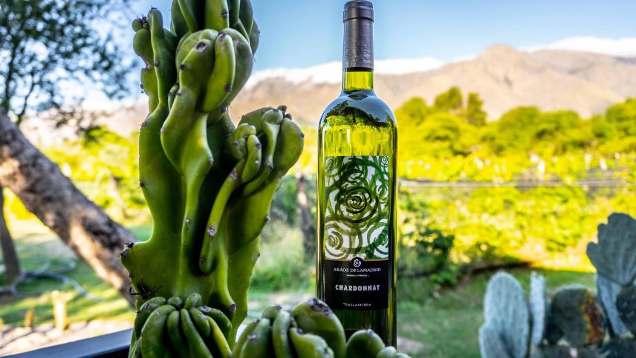 Araoz De Lamadrid Hotel&Bodega 圣哈维尔 外观 照片