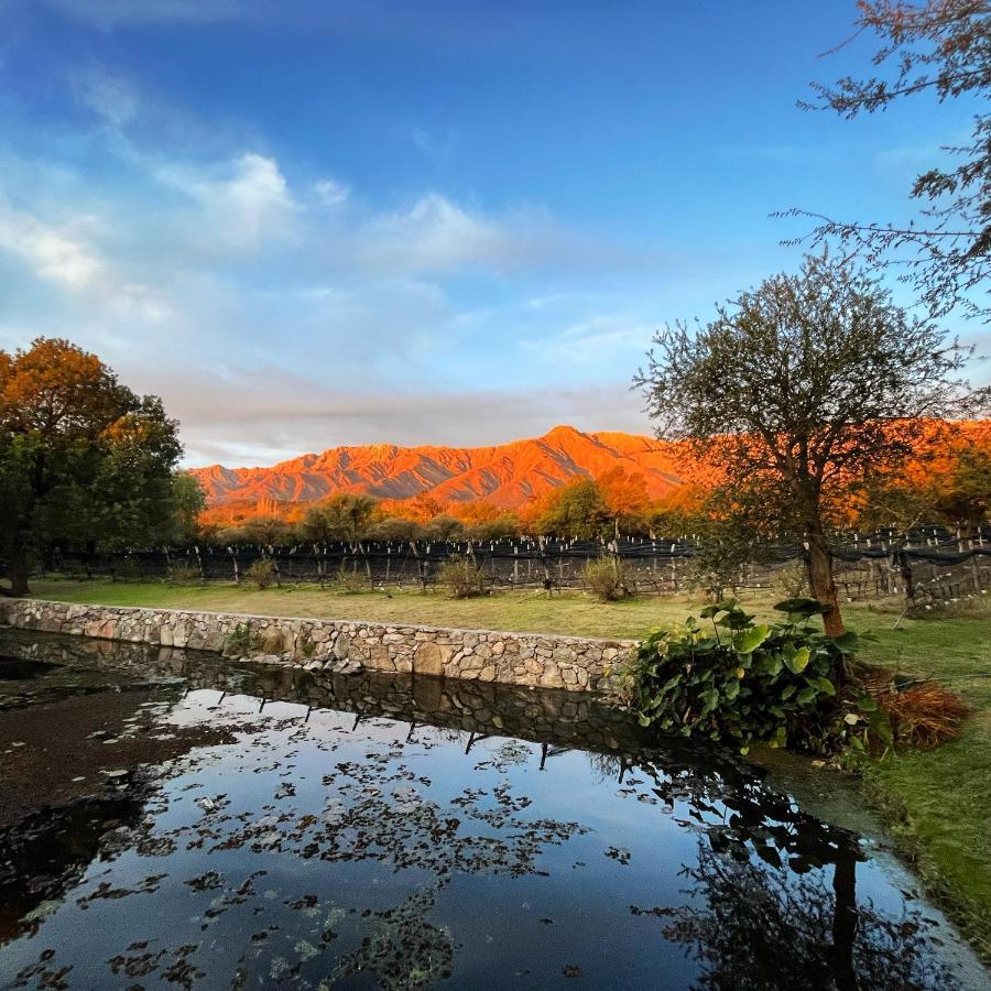 Araoz De Lamadrid Hotel&Bodega 圣哈维尔 外观 照片