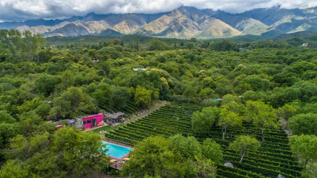 Araoz De Lamadrid Hotel&Bodega 圣哈维尔 外观 照片